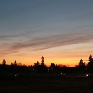 Meet your Posher, Korynn